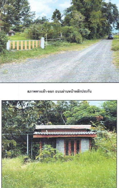 บ้านเดี่ยว บุรีรัมย์ เมืองบุรีรัมย์ บ้านบัว 915000