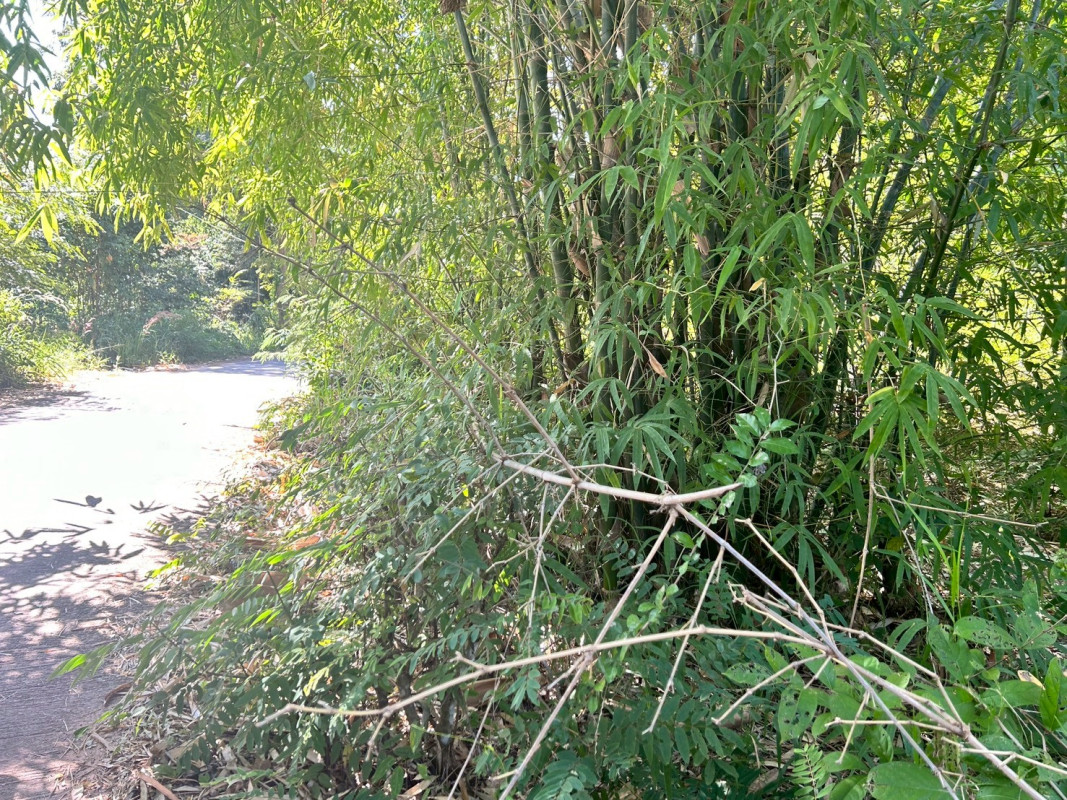 ที่ดินเปล่า นอกโครงการมหาสารคาม มหาสารคาม วาปีปทุม บ้านหวาย 320000