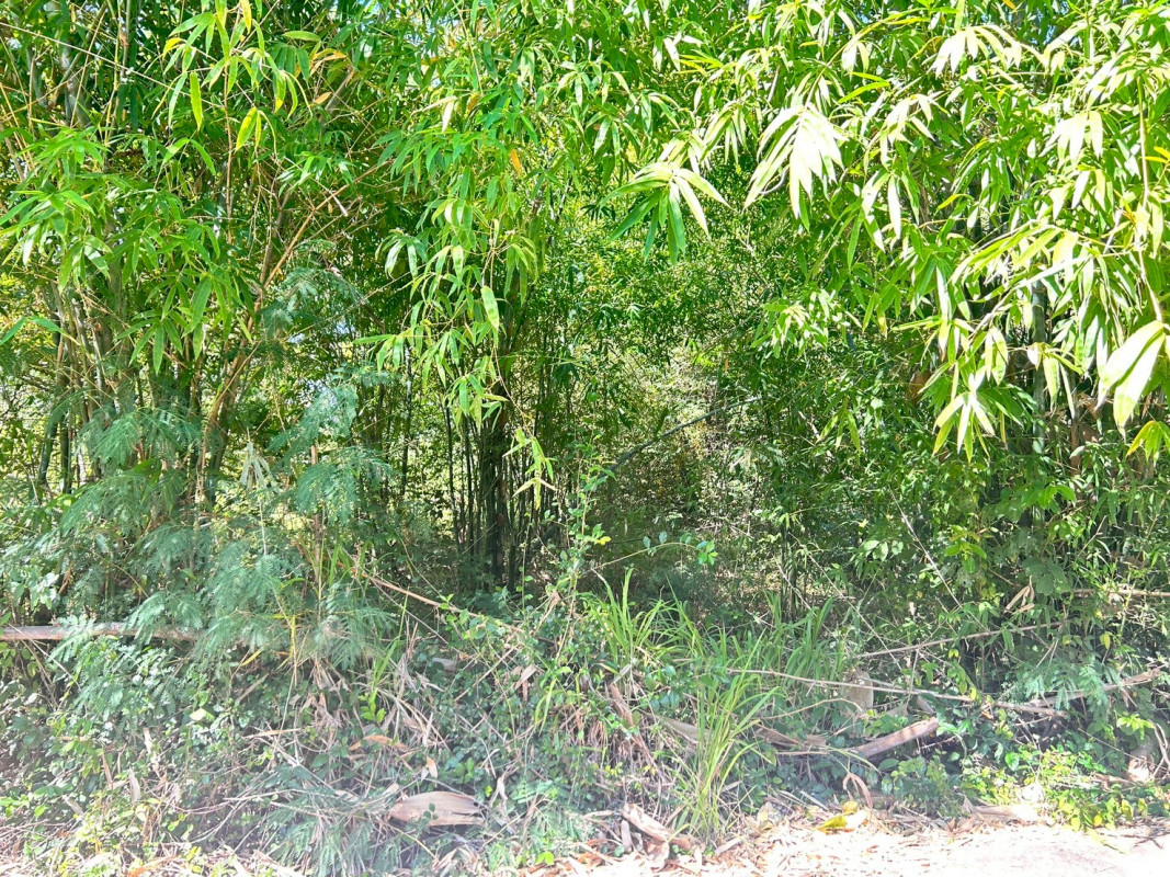 ที่ดินเปล่า นอกโครงการมหาสารคาม มหาสารคาม วาปีปทุม บ้านหวาย 320000