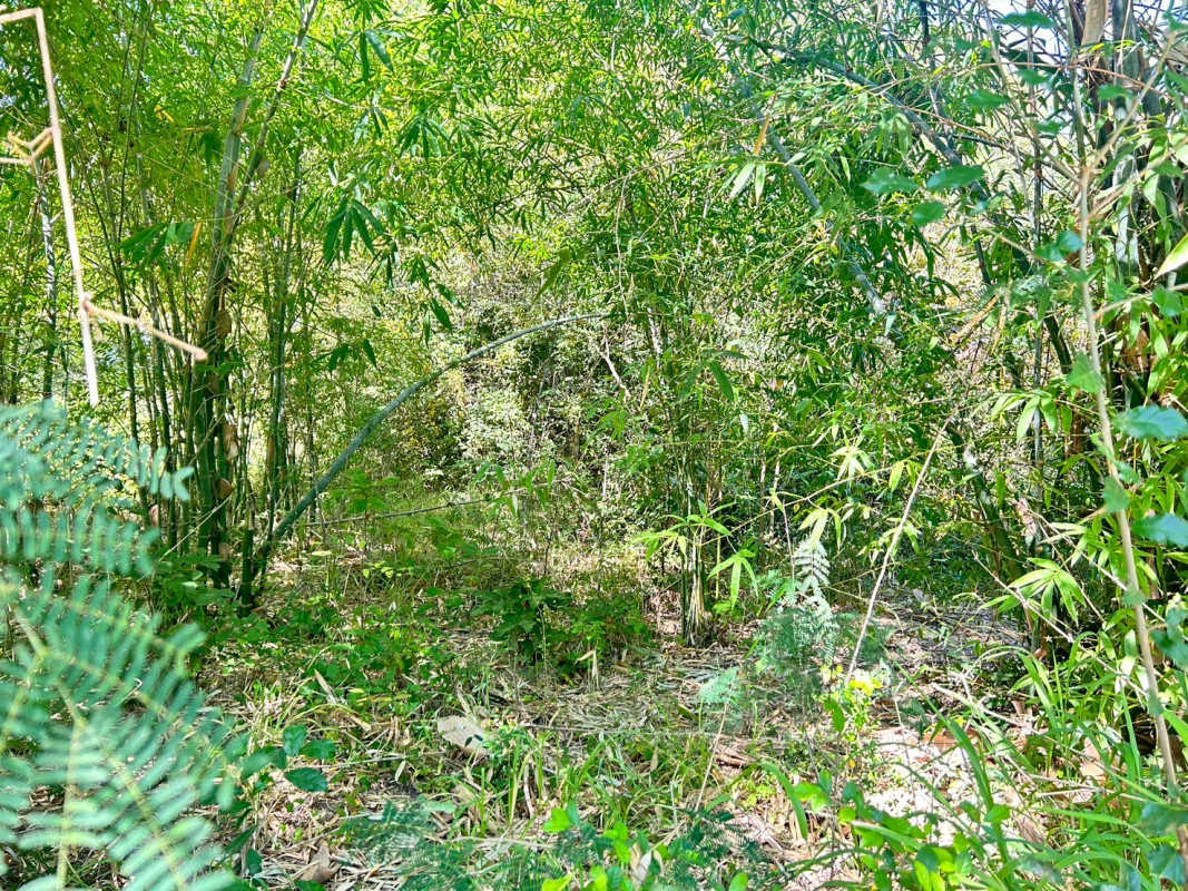 ที่ดินเปล่า นอกโครงการมหาสารคาม มหาสารคาม วาปีปทุม บ้านหวาย 320000