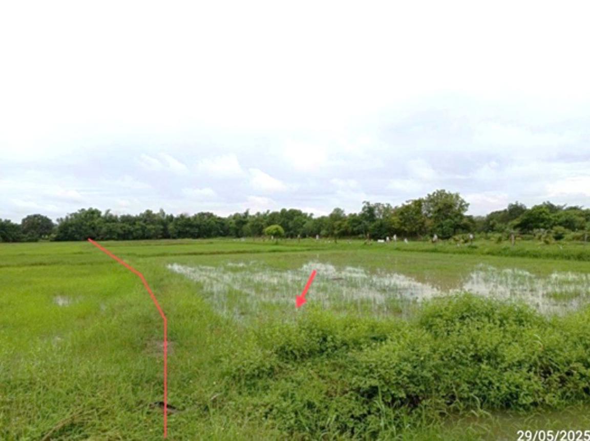 ที่ดินเปล่า บุรีรัมย์ ลำปลายมาศ หนองคู 4625000