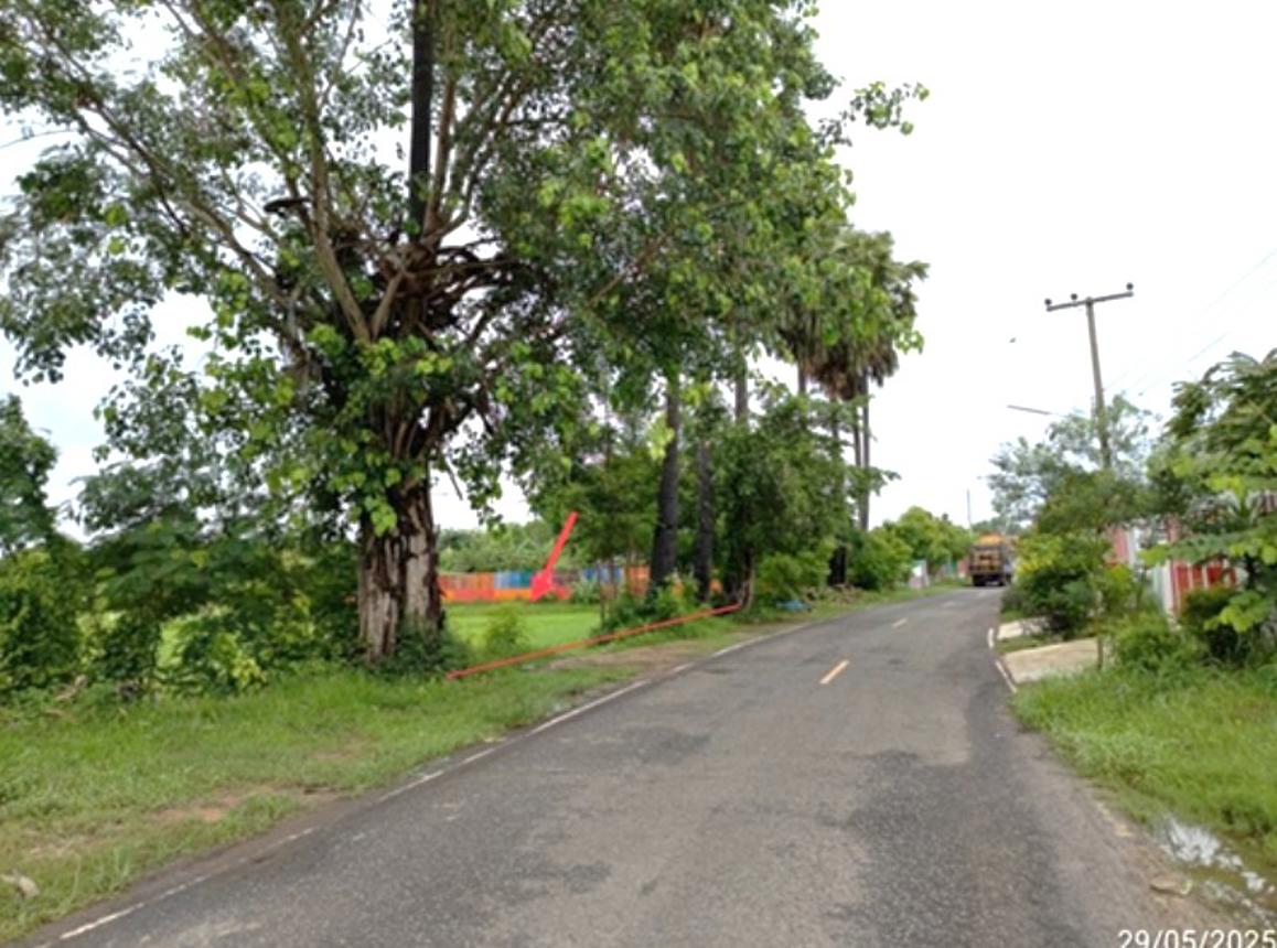 ที่ดินเปล่า บุรีรัมย์ ลำปลายมาศ หนองคู 4625000