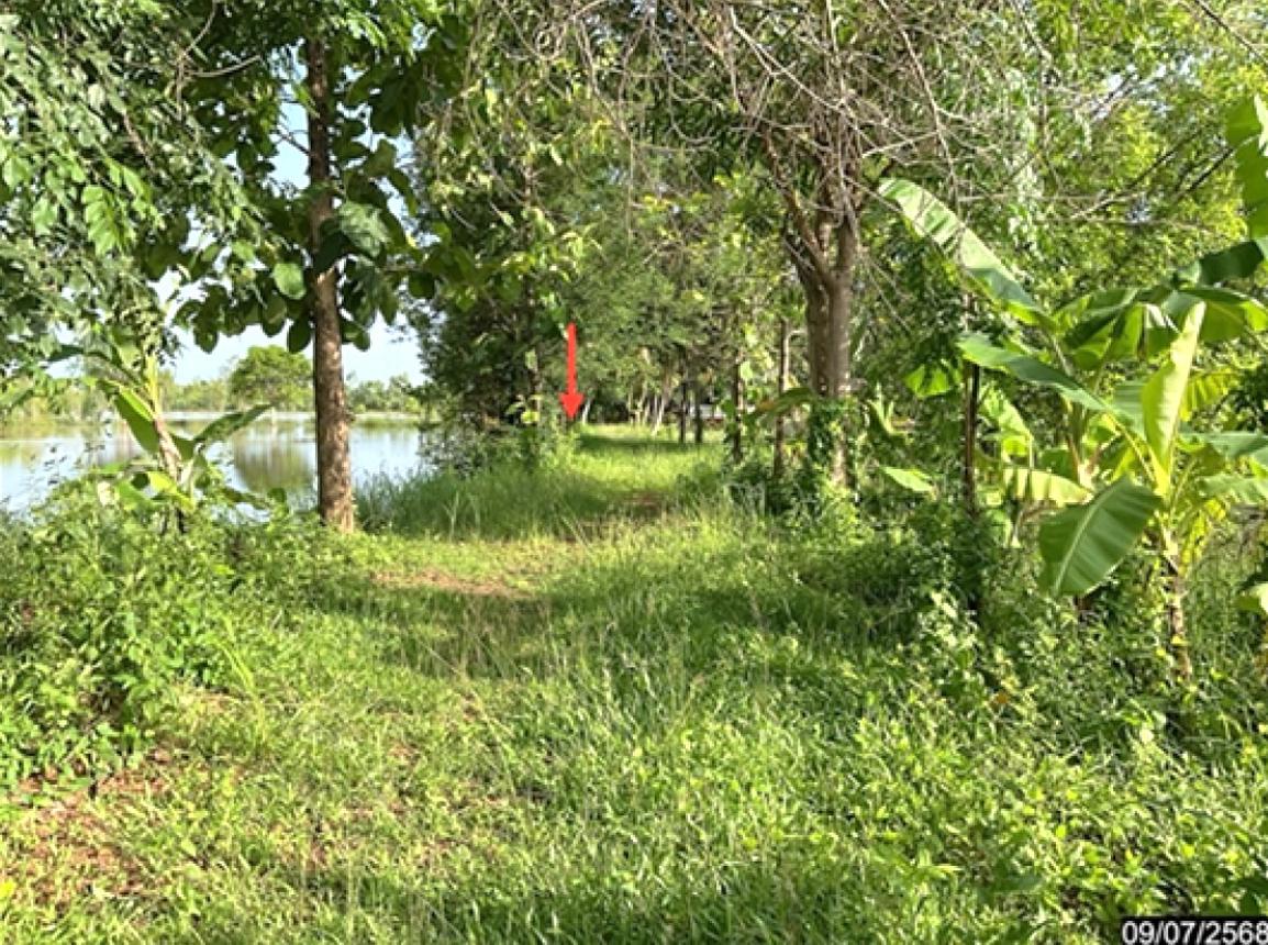 ที่ดินเปล่า หนองคาย เมืองหนองคาย โพนสว่าง 1659000