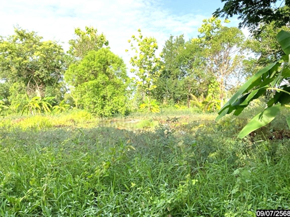 ที่ดินเปล่า หนองคาย เมืองหนองคาย โพนสว่าง 1659000