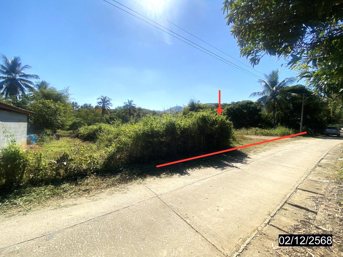 ที่ดินเปล่า เลย ปากชม ปากชม 993000