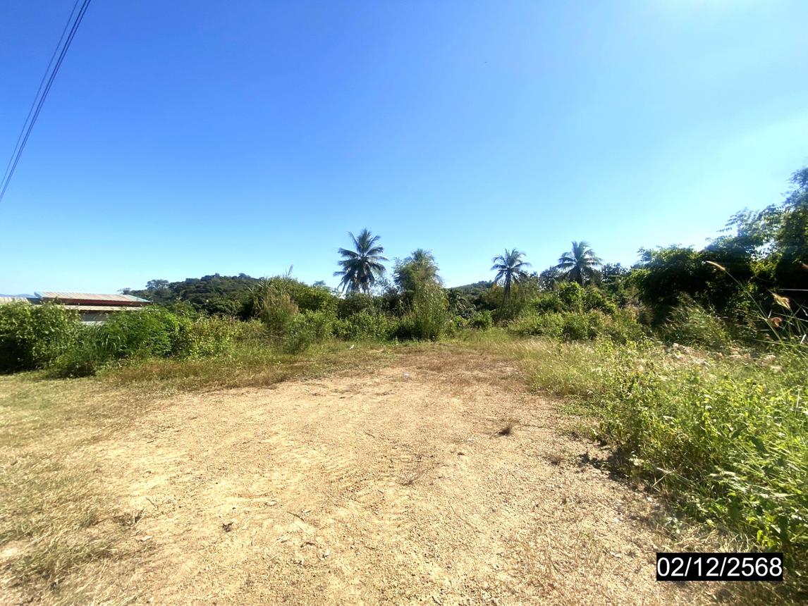 ที่ดินเปล่า เลย ปากชม ปากชม 993000