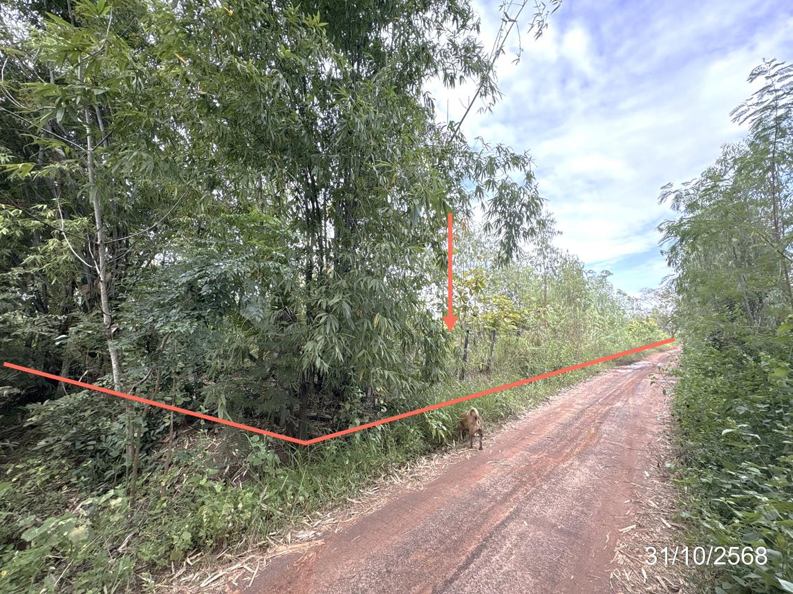 ที่ดินเปล่า อุบลราชธานี วารินชำราบ โพธิ์ใหญ่ 1910000