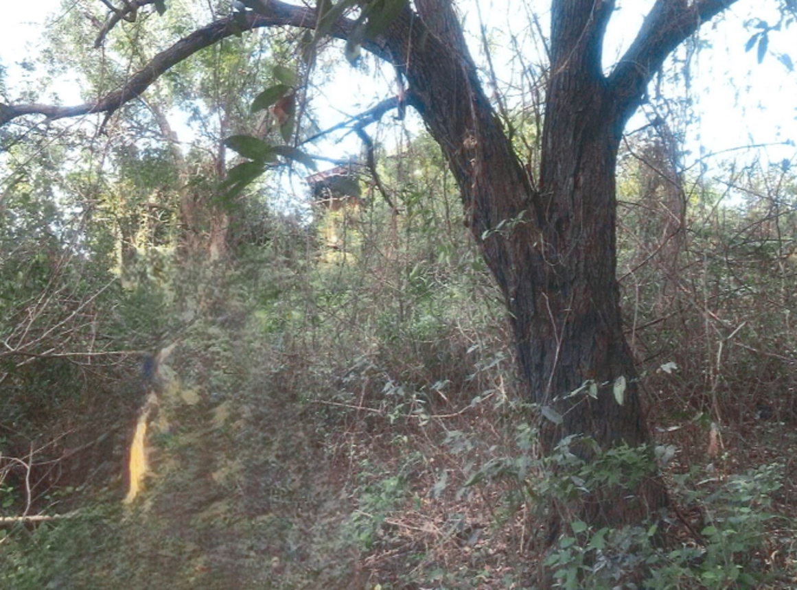 ที่ดินเปล่า อุบลราชธานี วารินชำราบ วารินชำราบ 2200000