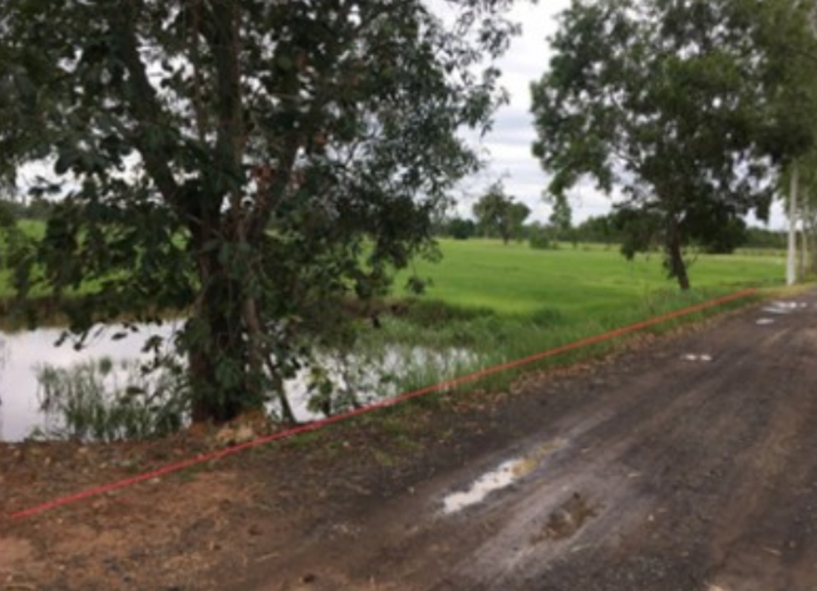 ที่ดินเปล่า ชุมชนบ้านท่าสว่าง สุรินทร์ เมืองสุรินทร์ ท่าสว่าง 1300000