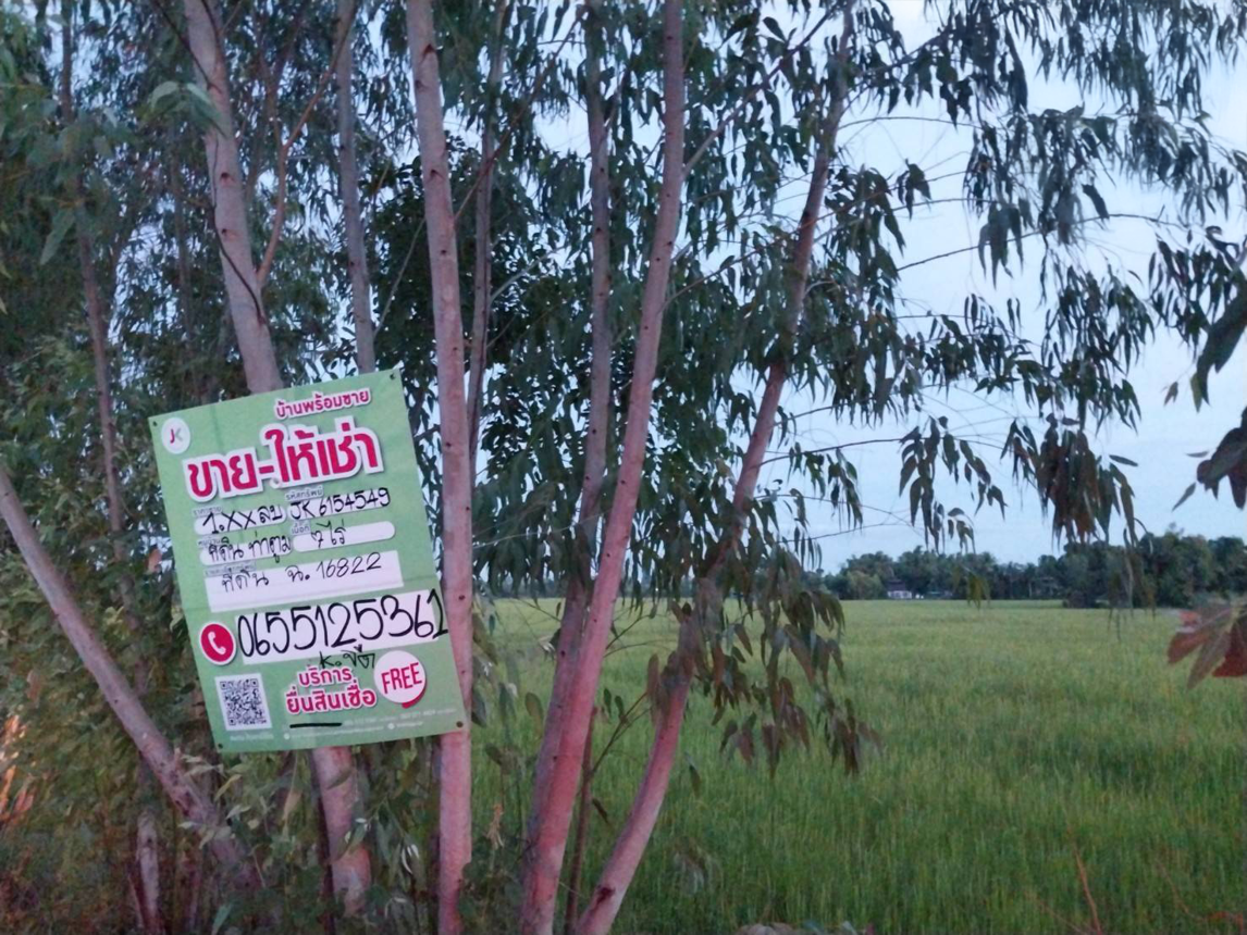 ที่ดินเปล่า ที่ดินว่างเปล่าสุรินทร์ สุรินทร์ ท่าตูม เมืองแก 936000