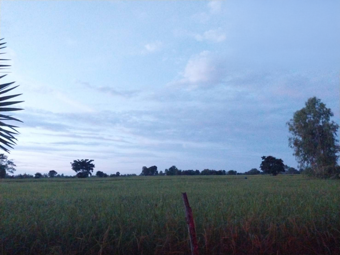 ที่ดินเปล่า ที่ดินว่างเปล่าสุรินทร์ สุรินทร์ ท่าตูม เมืองแก 936000