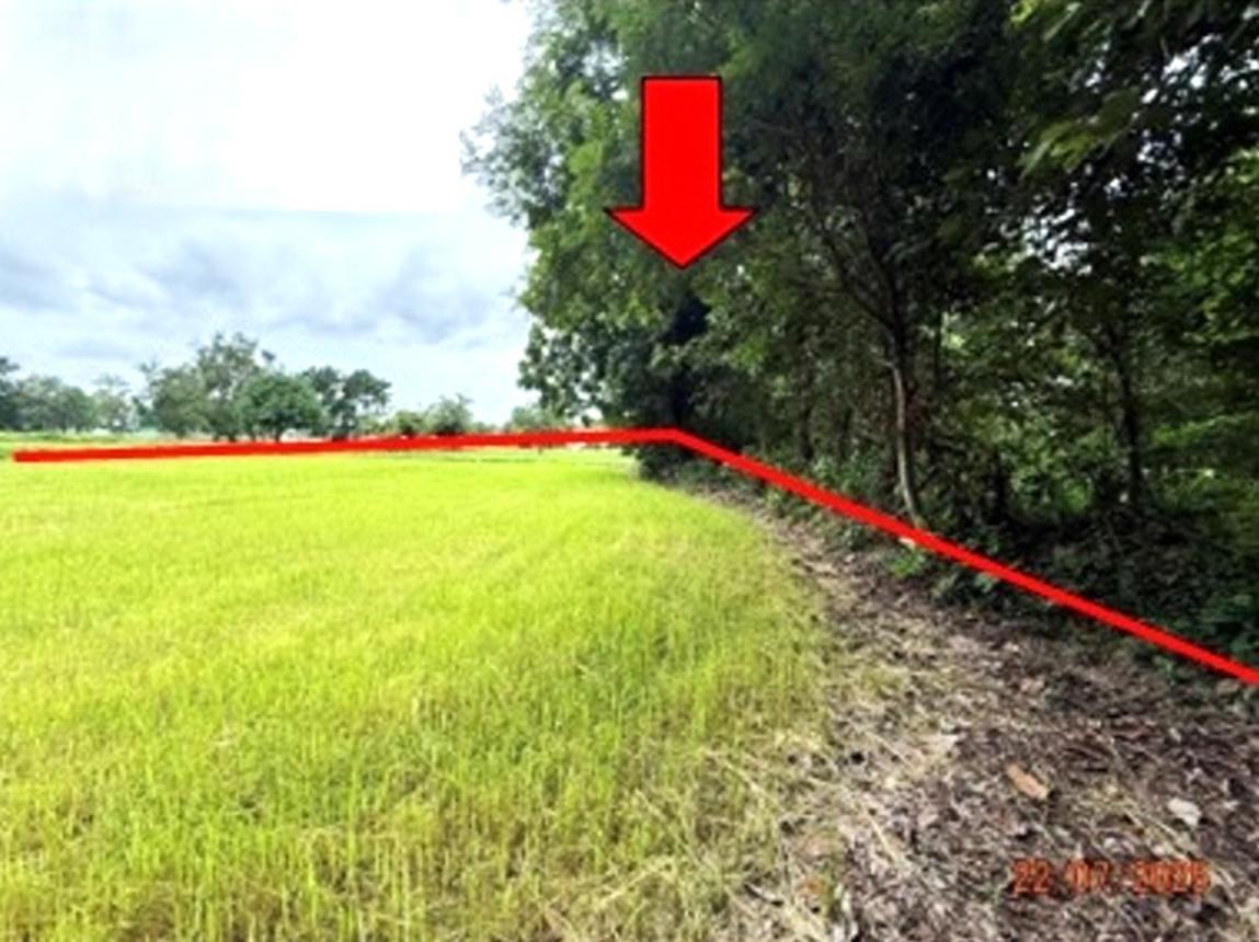 ที่ดินเปล่า ศรีสะเกษ กันทรารมย์ ดูน 3270000