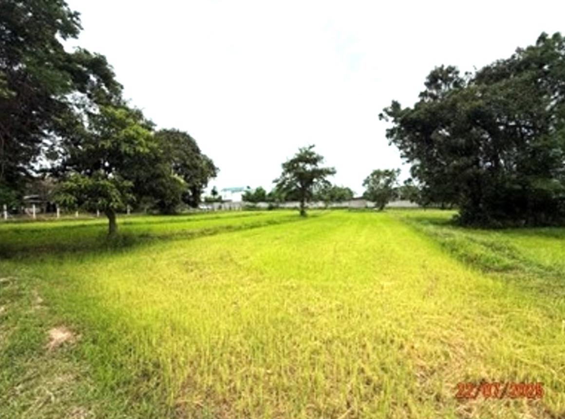 ที่ดินเปล่า ศรีสะเกษ กันทรารมย์ ดูน 3270000