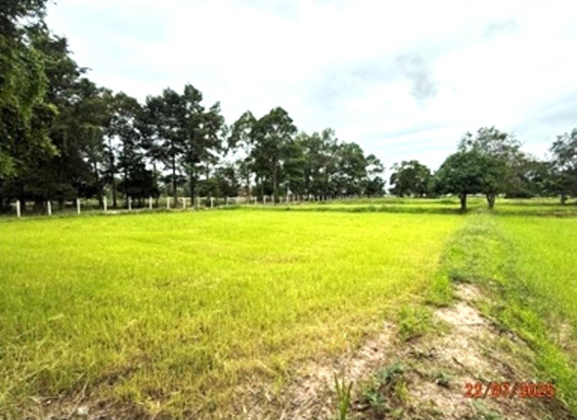 ที่ดินเปล่า ศรีสะเกษ กันทรารมย์ ดูน 3270000