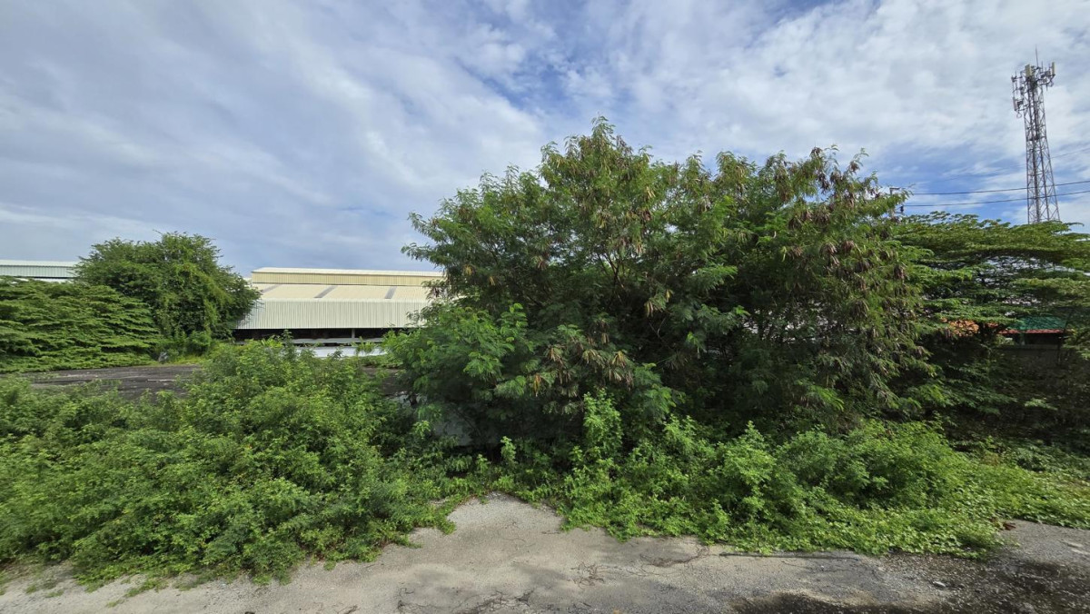 อื่นๆ นนทบุรี บางใหญ่ บางม่วง 35000000