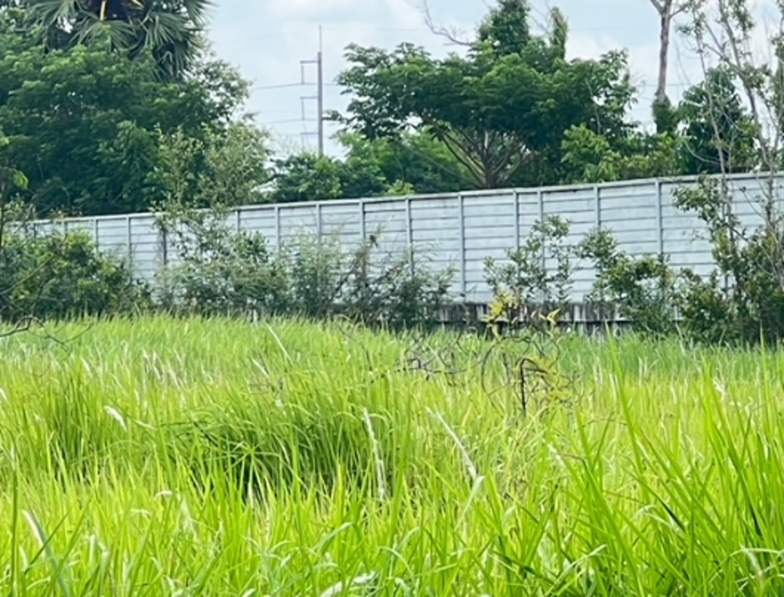 ที่ดินเปล่า อุบลราชธานี วารินชำราบ แสนสุข 2500000