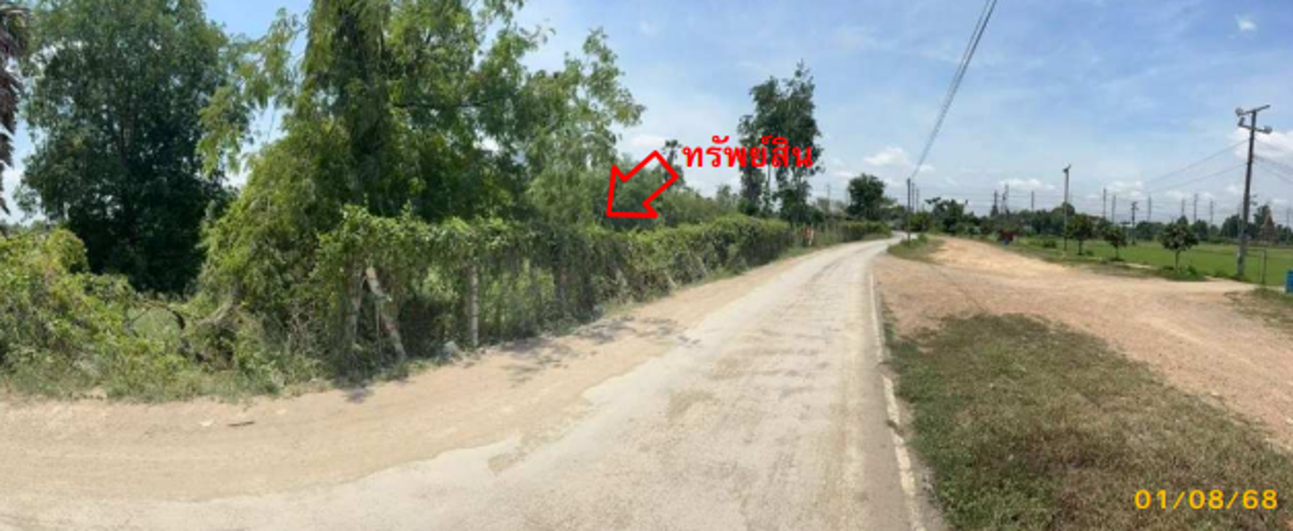 อื่นๆ สระบุรี เสาไห้ ต้นตาล 76952000