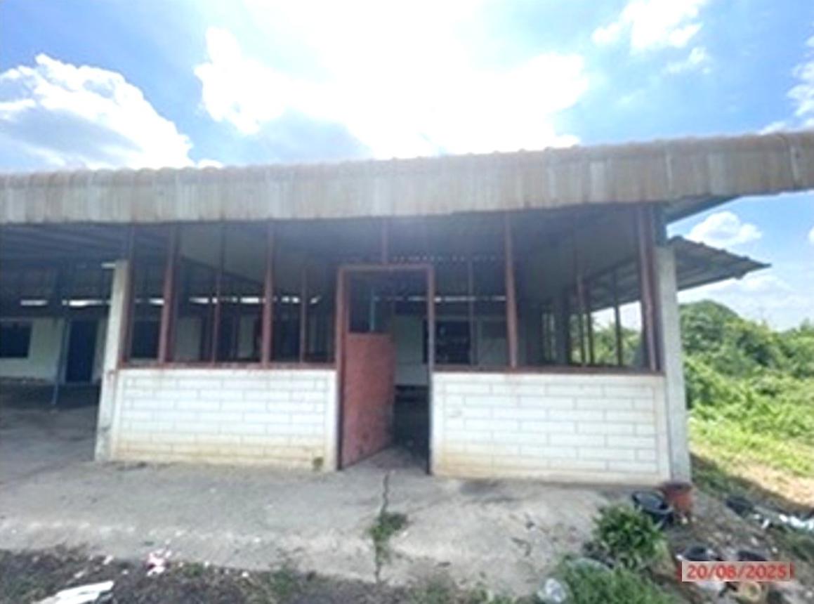 Misc. Ang Thong Pa Mok Sai Thong 4248000