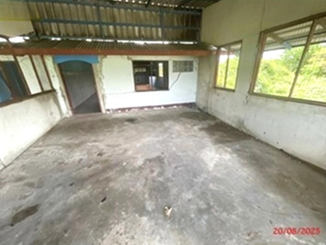 Misc. Ang Thong Pa Mok Sai Thong 4248000