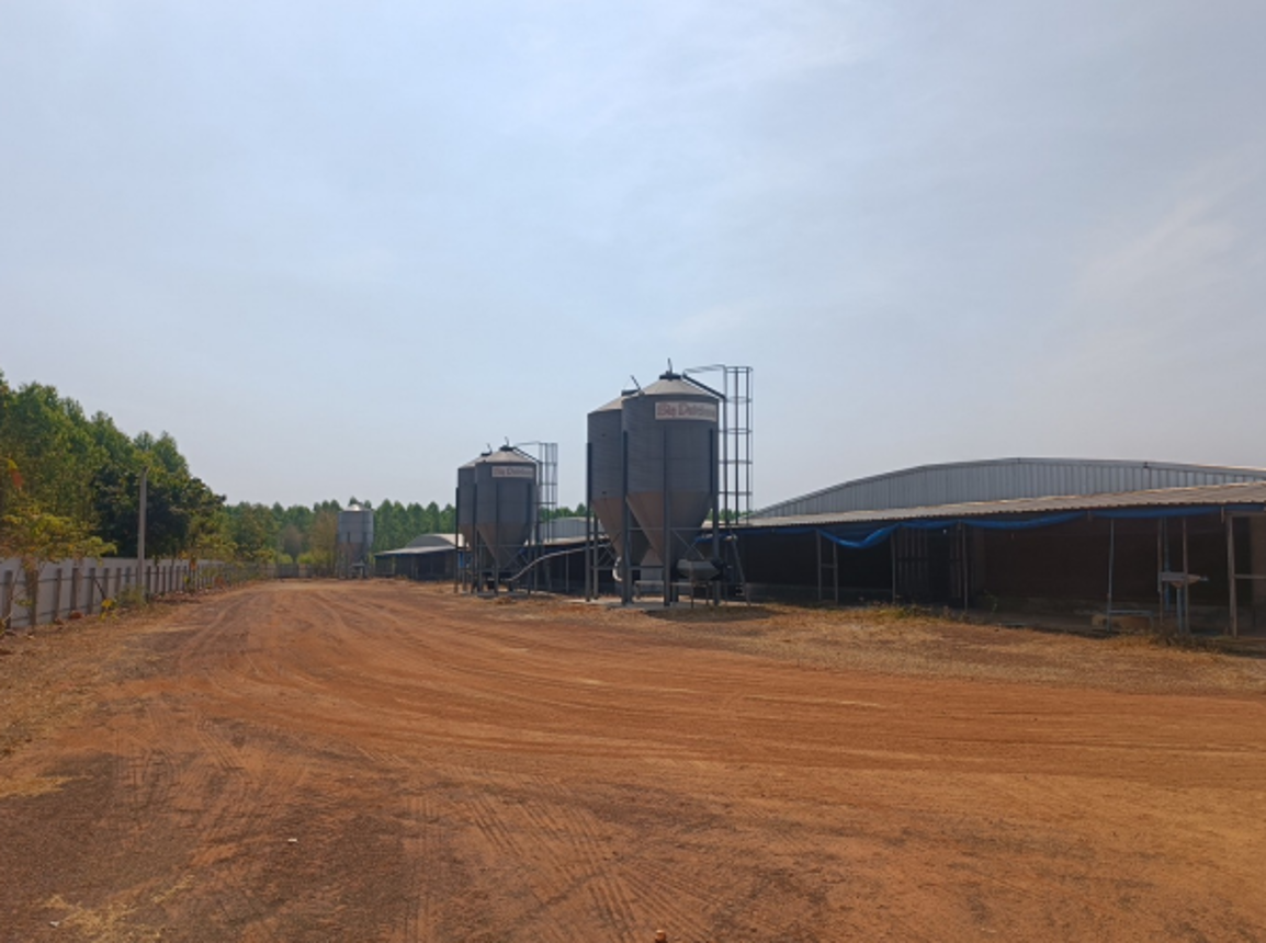 อื่นๆ ปราจีนบุรี ศรีมหาโพธิ หนองโพรง 22800000