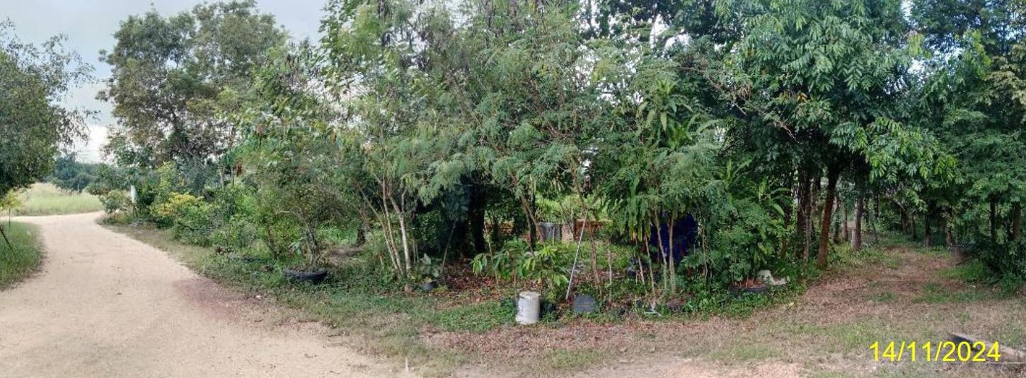 อื่นๆ ระยอง แกลง กระแสบน 41573020