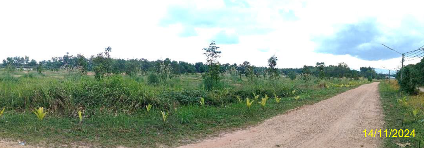 อื่นๆ ระยอง แกลง กระแสบน 41573020