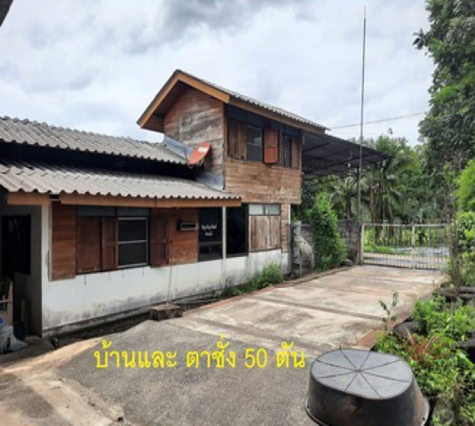 บ้านเดี่ยว สุราษฎร์ธานี พระแสง อิปัน 13500000
