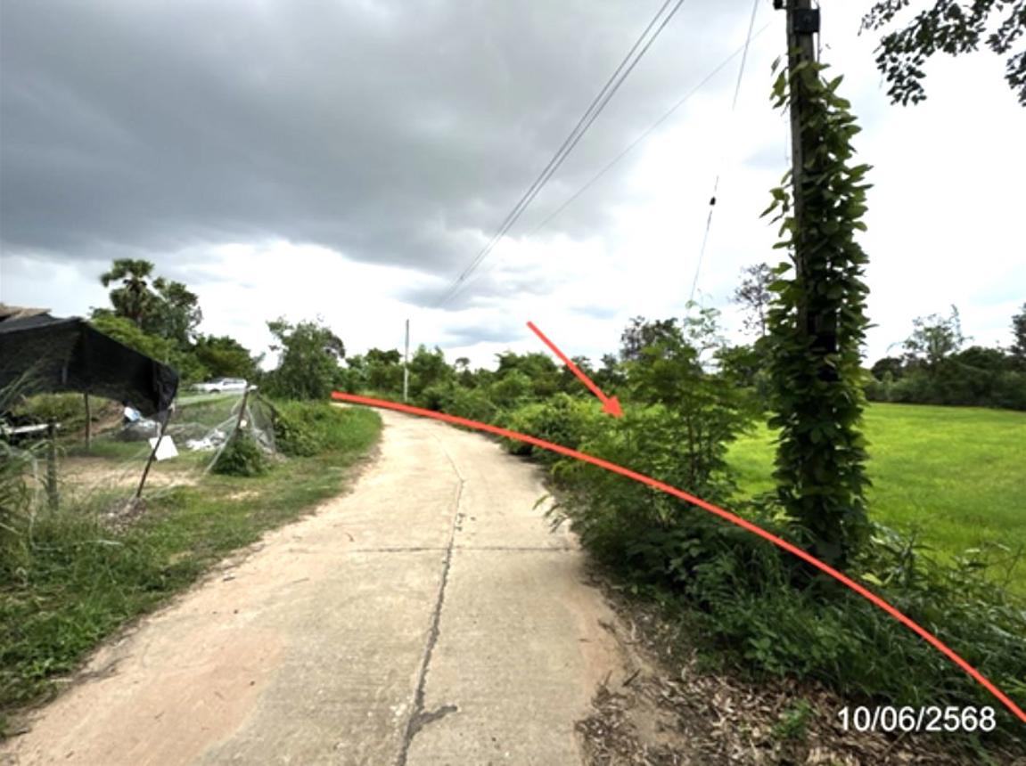 อื่นๆ อุบลราชธานี ม่วงสามสิบ ม่วงสามสิบ 1654000