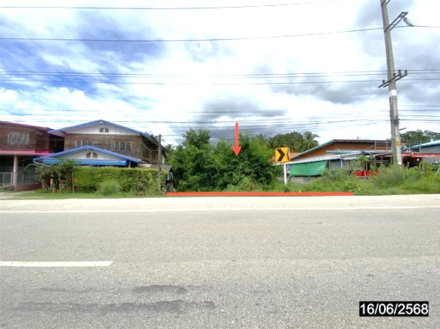 ที่ดินเปล่า เลย เชียงคาน ธาตุ 819000