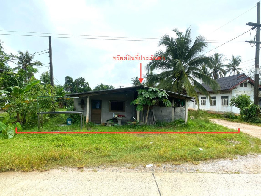 บ้านเดี่ยว พัทลุง บางแก้ว โคกสัก 8209000