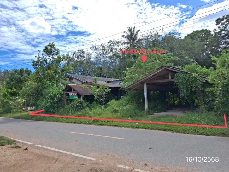 Single house Phatthalung Pa Bon Wang Mai 1061000