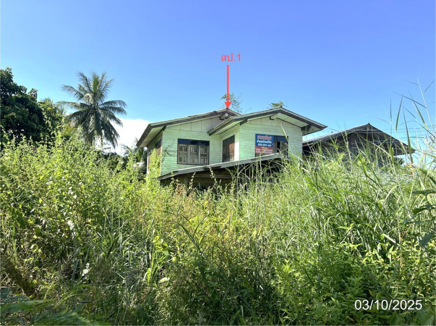 บ้านเดี่ยว กำแพงเพชร พรานกระต่าย ท่าไม้ 702000