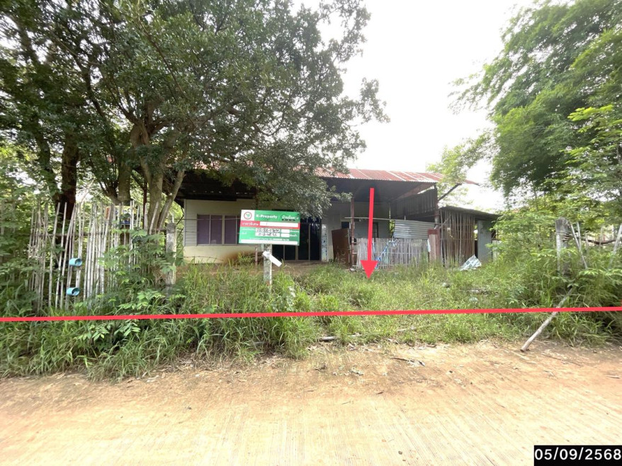 บ้านเดี่ยว ชัยภูมิ เมืองชัยภูมิ นาฝาย 1764000