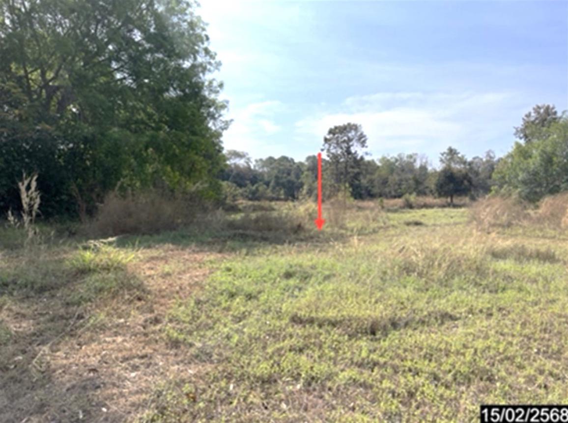 ที่ดินเปล่า กาฬสินธุ์ เมืองกาฬสินธุ์ เหนือ 5200000