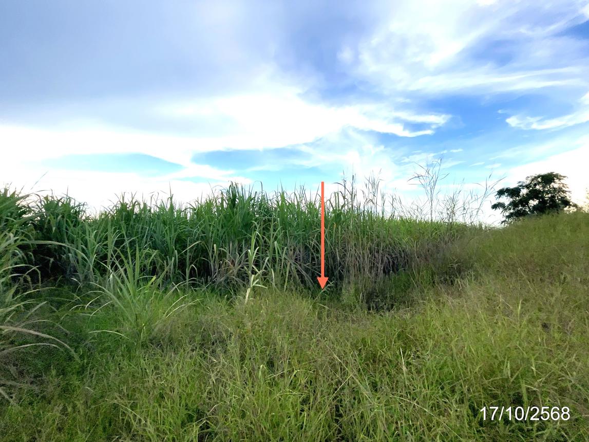 ที่ดินเปล่า นครสวรรค์ เมืองนครสวรรค์ พระนอน 654000