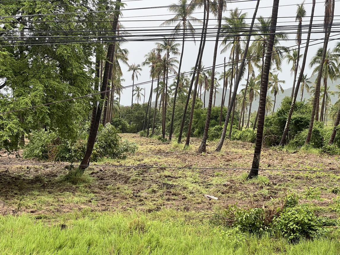 ที่ดินเปล่า ประจวบคีรีขันธ์ เมืองประจวบคีรีขันธ์ คลองวาฬ 19500000