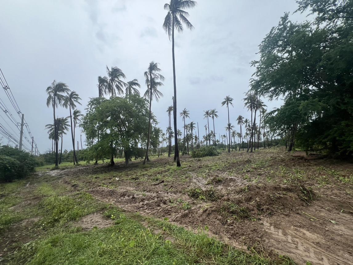 ที่ดินเปล่า ประจวบคีรีขันธ์ เมืองประจวบคีรีขันธ์ คลองวาฬ 19500000