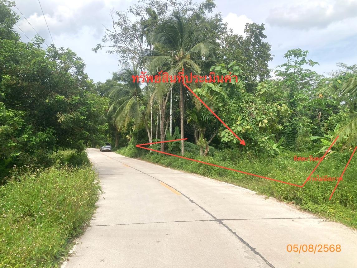 ที่ดินเปล่า สุราษฎร์ธานี บ้านนาเดิม นาใต้ 644000