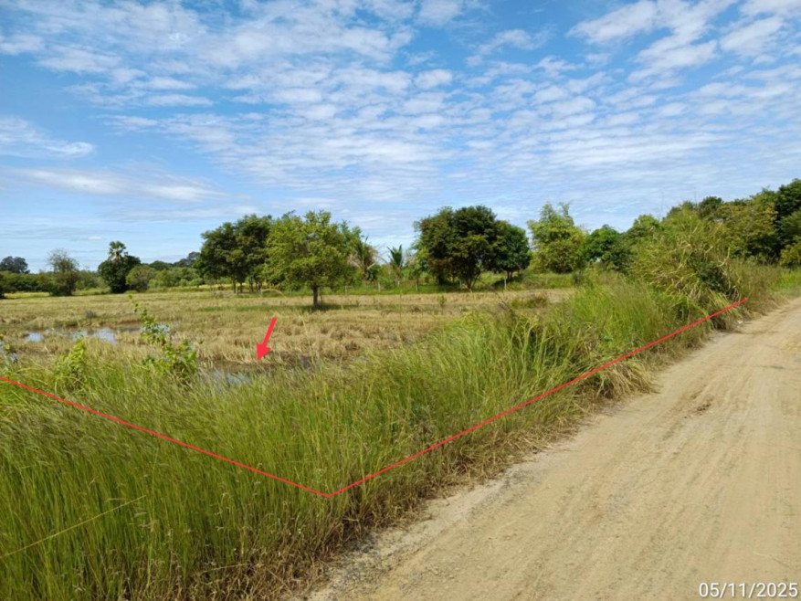 ที่ดินเปล่า บุรีรัมย์ สตึก สะแก 1000000