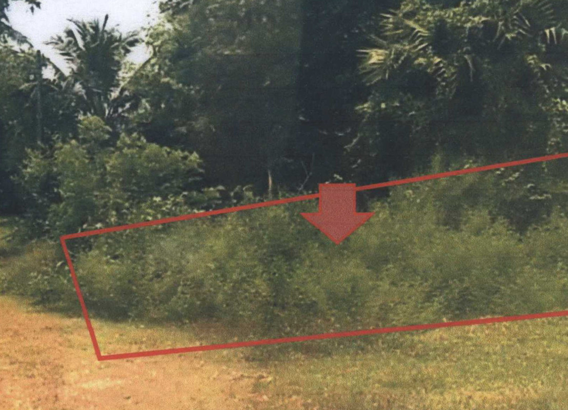 ที่ดินเปล่า ปัตตานี เมืองปัตตานี ปะกาฮะรัง 130650