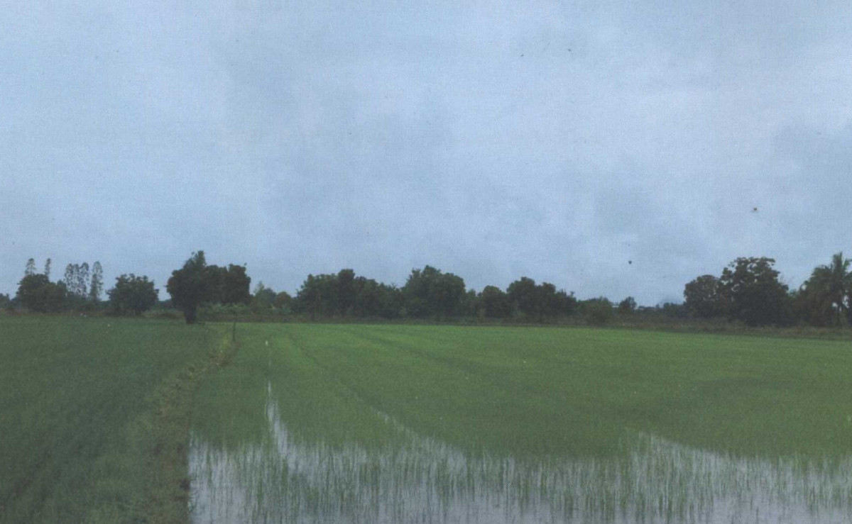 ที่ดินเปล่า นครสวรรค์ โกรกพระ หาดสูง 123975