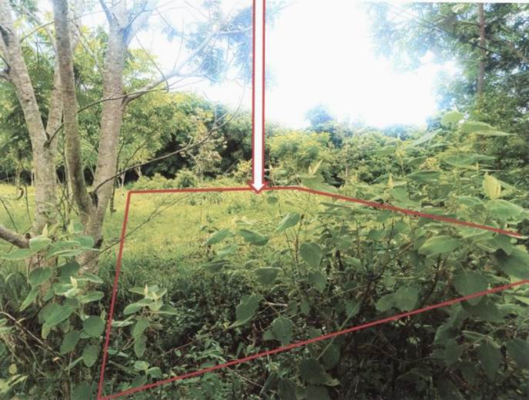 ที่ดินเปล่า อุบลราชธานี ดอนมดแดง เหล่าแดง 78000