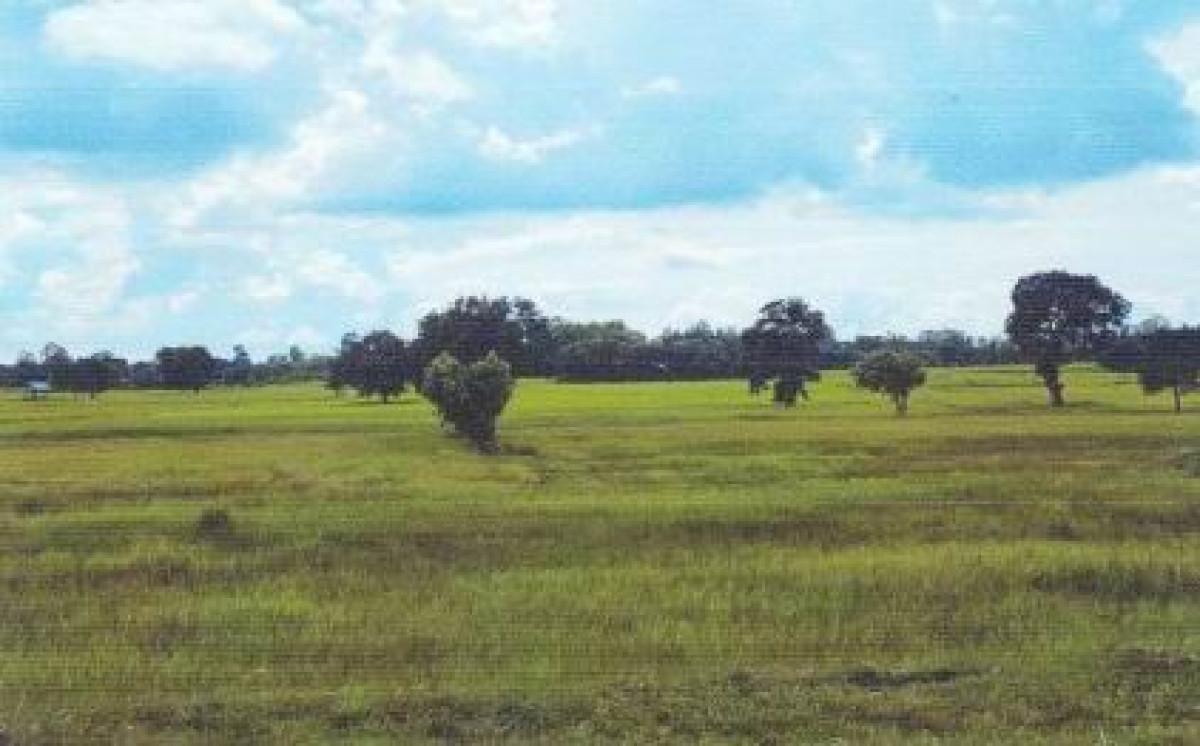 ที่ดินเปล่า กาฬสินธุ์ เขาวง สงเปลือย 680500