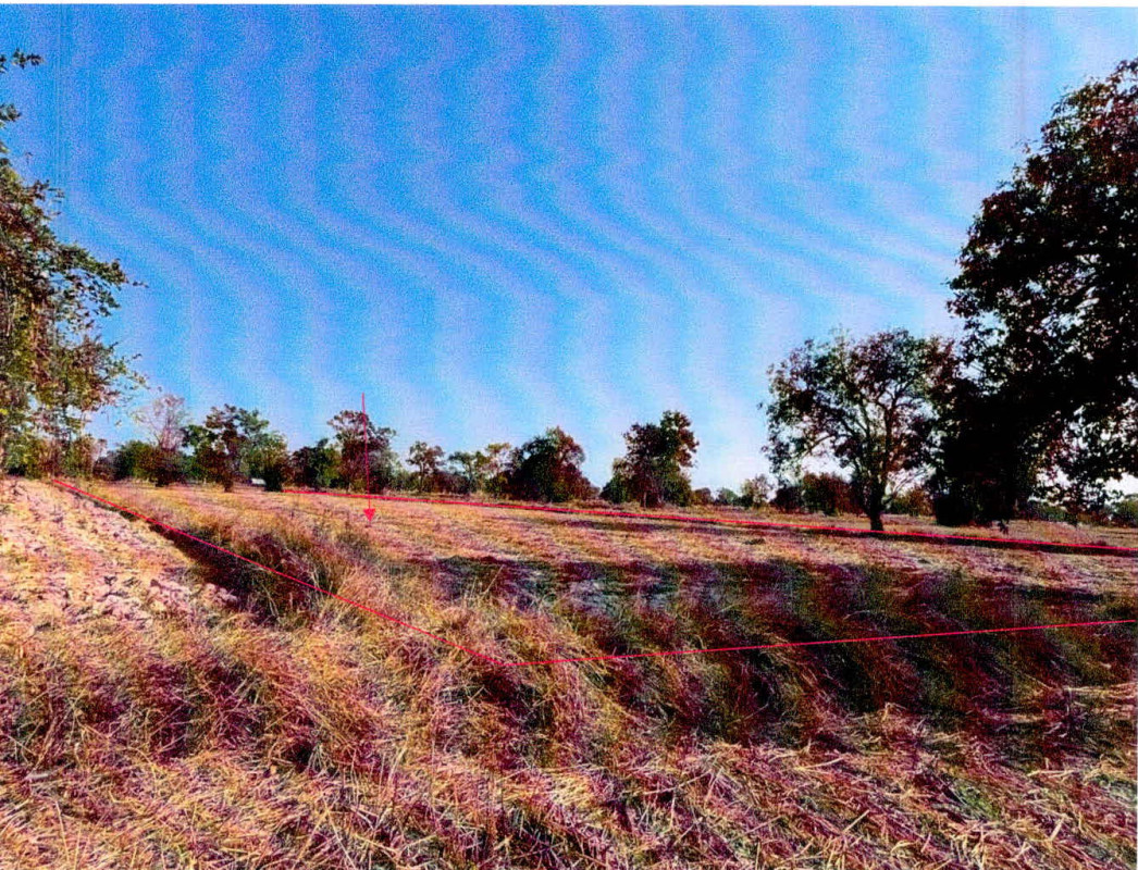 ที่ดินเปล่า ศรีสะเกษ เมืองศรีสะเกษ ซำ 249200