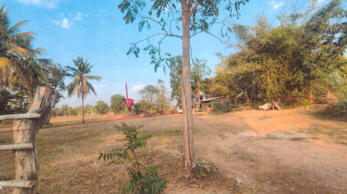 ที่ดินเปล่า มหาสารคาม เชียงยืน กู่ทอง 969564