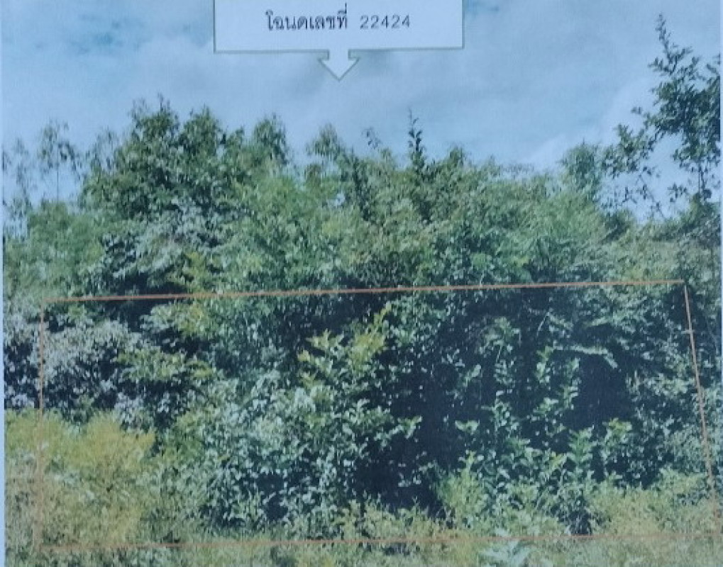 ที่ดินเปล่า บุรีรัมย์ นาโพธิ์ ศรีสว่าง 24435