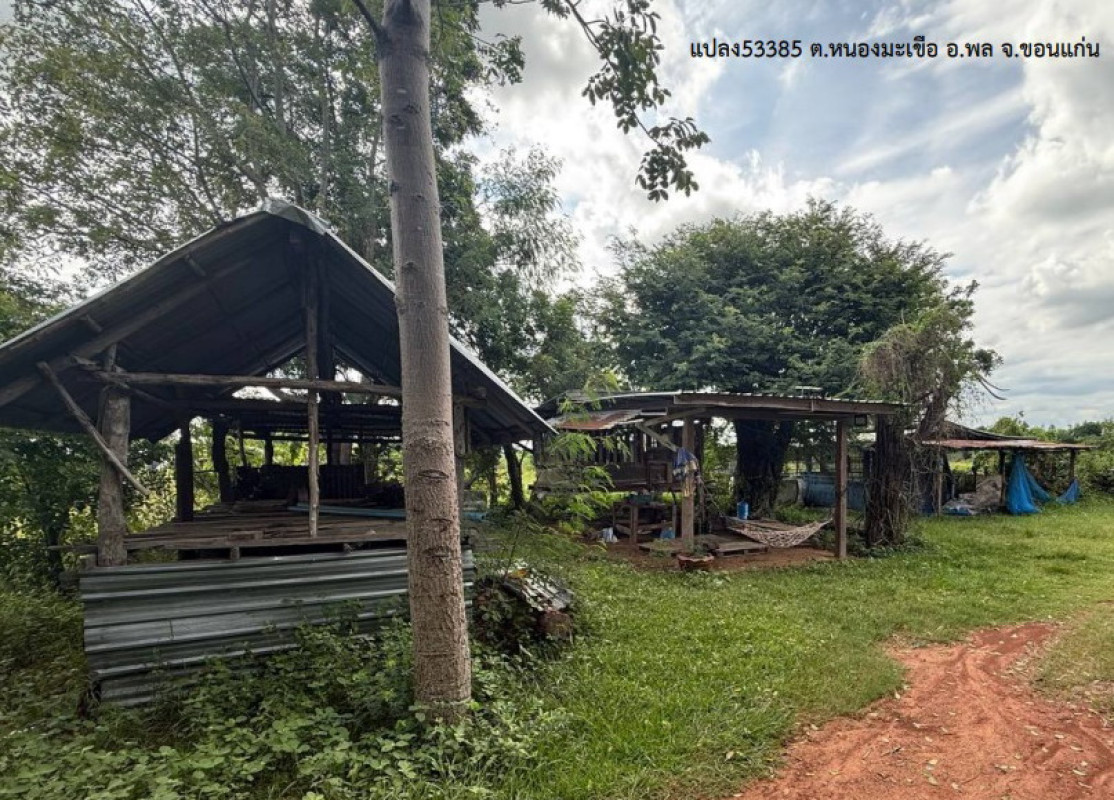 บ้านเดี่ยว ขอนแก่น พล หนองมะเขือ 838368