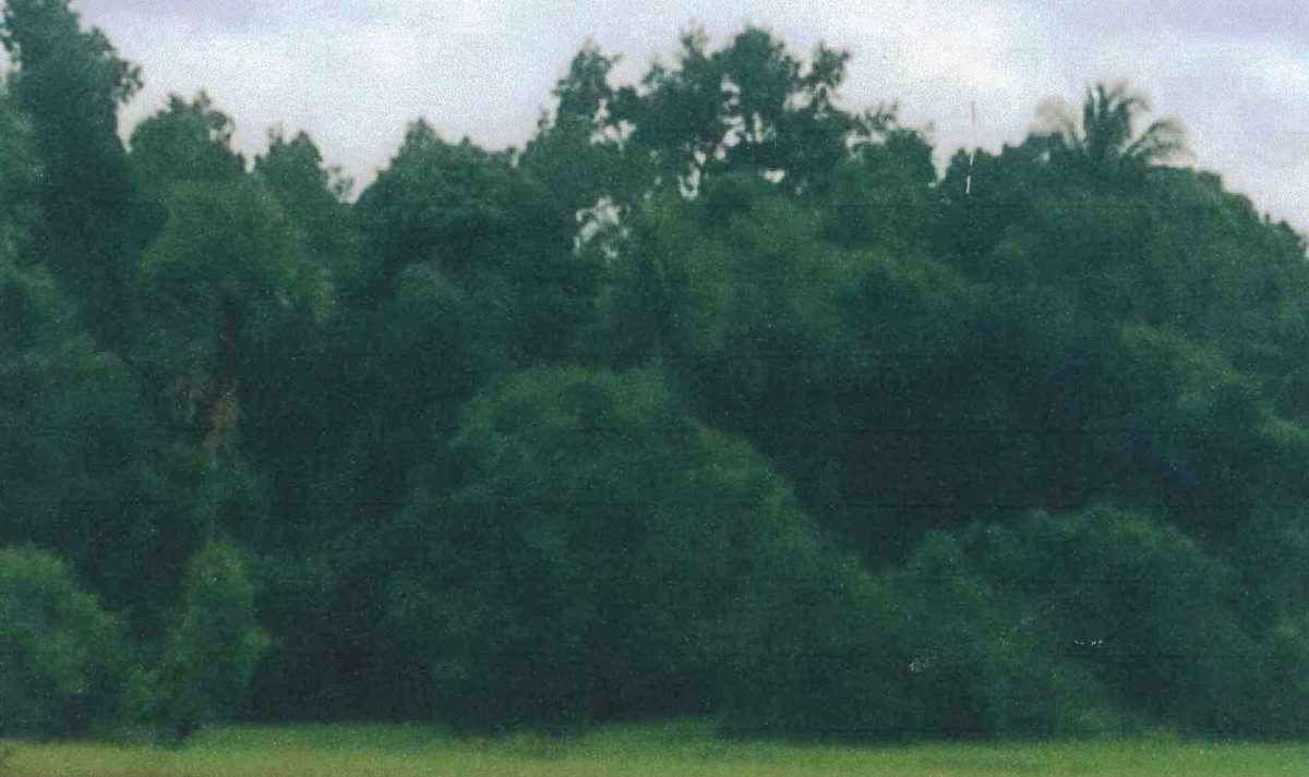 ที่ดินเปล่า ปัตตานี ยะหริ่ง สาบัน 56375