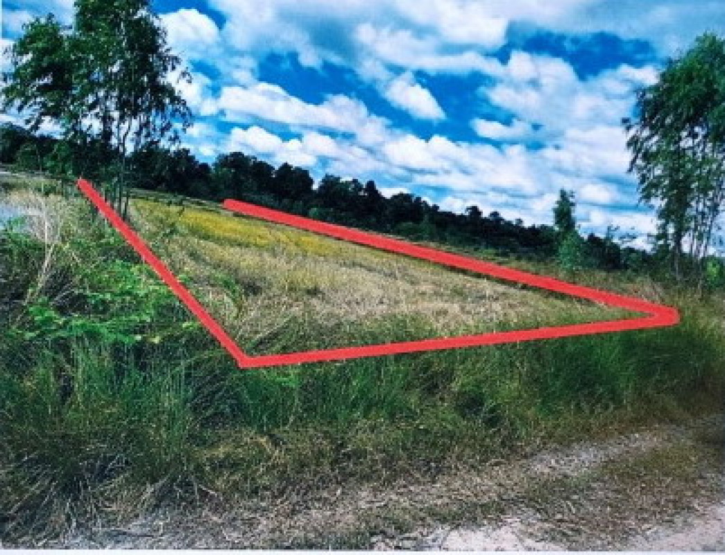 ที่ดินเปล่า อุบลราชธานี เมืองอุบลราชธานี หนองบ่อ 280098