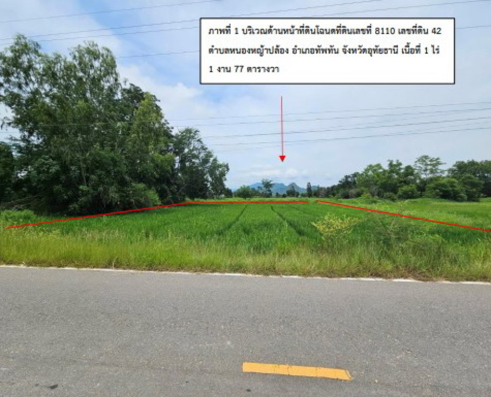 ที่ดินเปล่า อุทัยธานี ทัพทัน หนองหญ้าปล้อง 103860